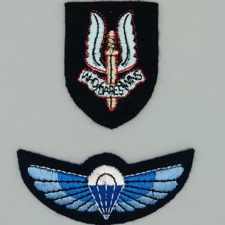 Special Air Service NCOs Cap Badge, With Wings
