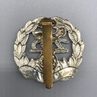 Hampshire Regiment Cap Badge