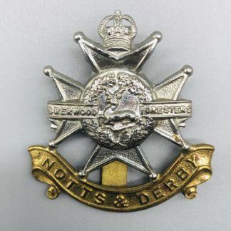 Nottingham & Derbyshire Regiment (Sherwood & Foresters) Kings Crown