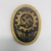 National Socialist German Workers visor cap badge