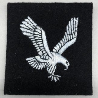 Army Air Corp Cloth Badge