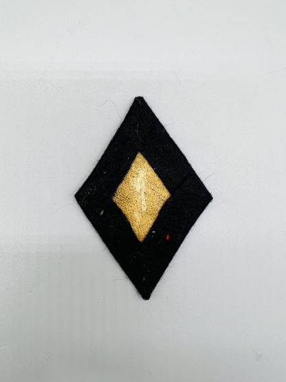Allgemeine SS Pharmacist Sleeve Diamond Badge, reverse with buckham backing