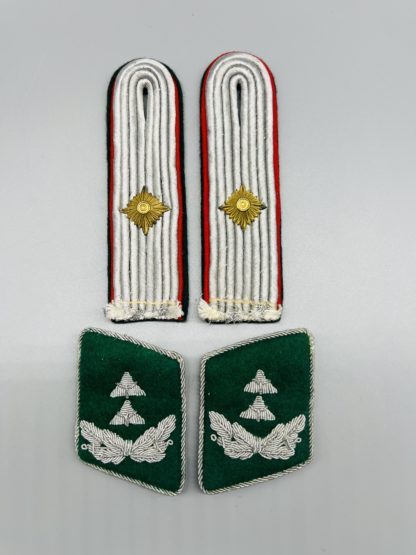 Luftwaffe Admin Regierungsinspektor Collar & Shoulder Boards