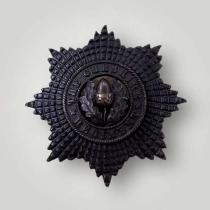 A WW2 Cheshire Regiment Officers WW2 cap badge.