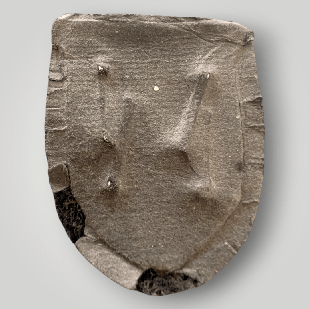 Reverse image of a Luftwaffe Krim Campaign Shield complete with paper backing.